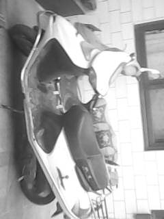 ����������̤������Ħ�г�����