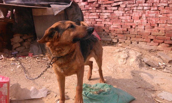 �Լ����Ĺ�����ס������ۣ�����