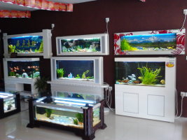 ������׵��䰲����ˮ��