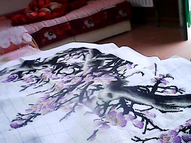 ��������ʮ����