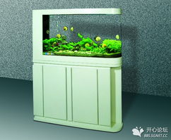 �·�װ��������  ���������ÿ�