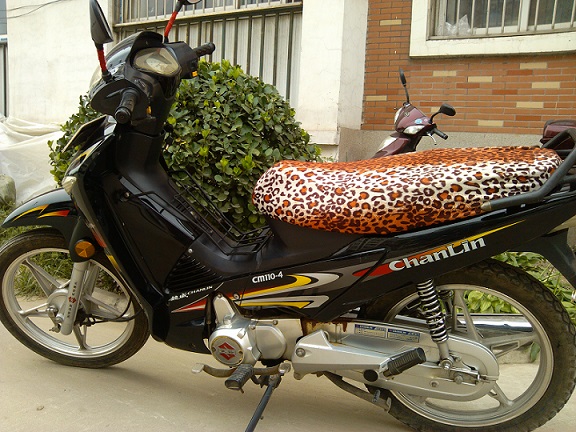 ����110��������Ħ�г� ����