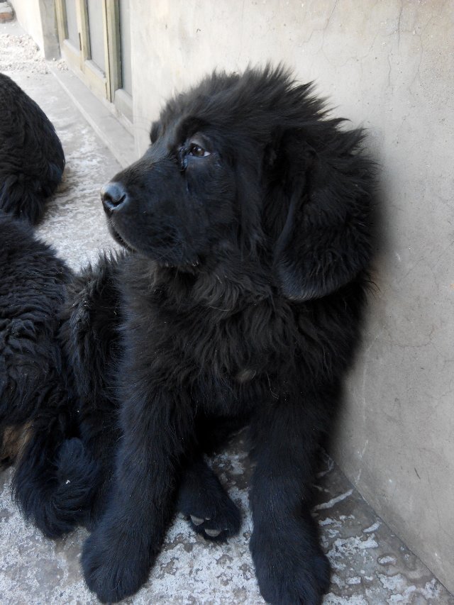 �����������뿴����С����