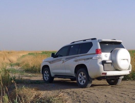 ת�÷���Ե�2700�ж���ԽҰ��