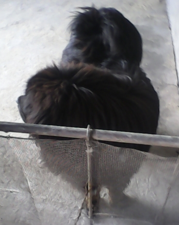 ����һ���ᣬ���˴���