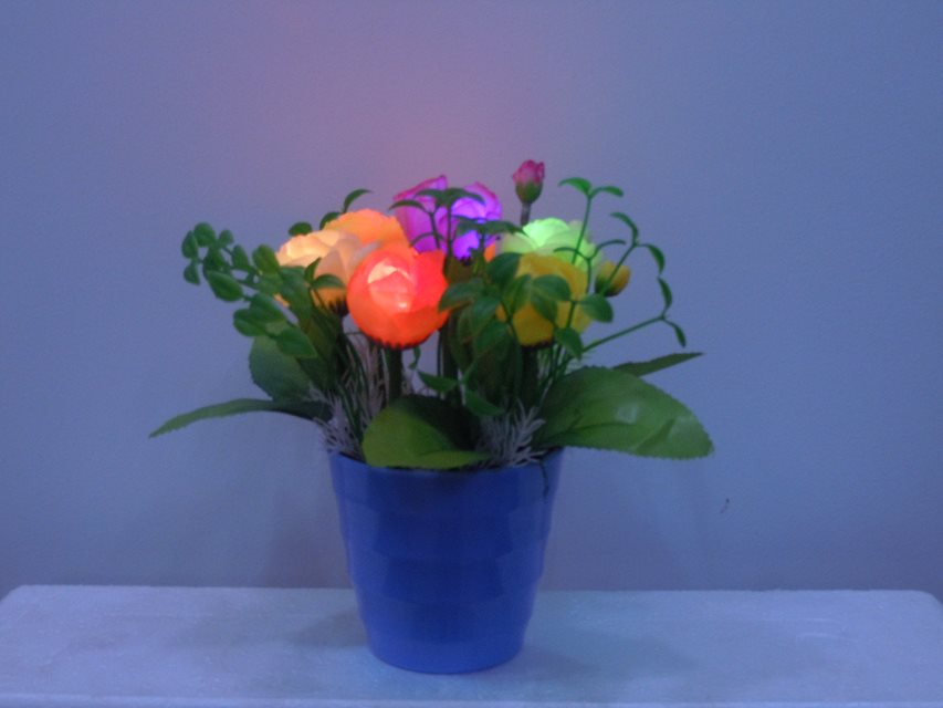 ������������LED���滨