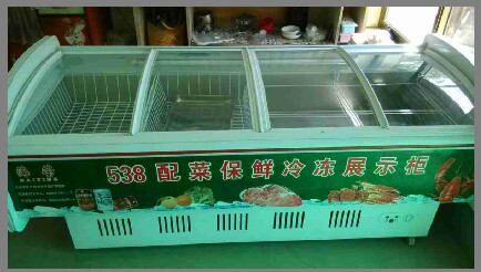 �����䶳���ʹ����