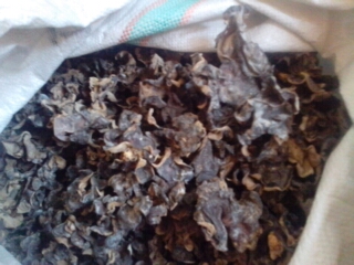 ���ۺ�ľ���۸�����