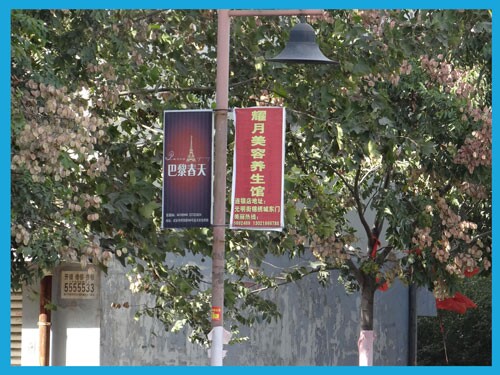 ������۳���