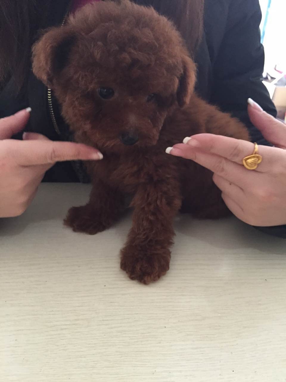 ̩�ϱ�������