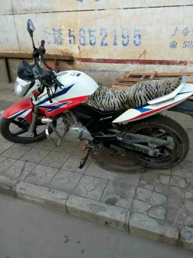 ����150Ħ�г�һ��