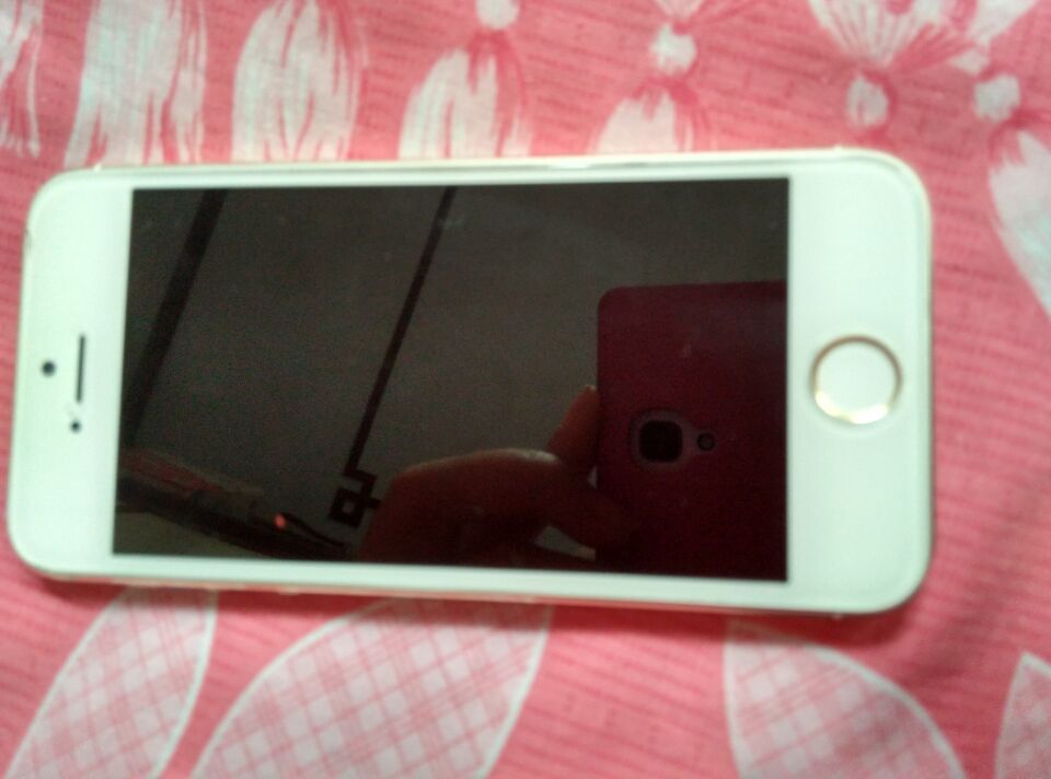 ƻ��5�ͼ۳���