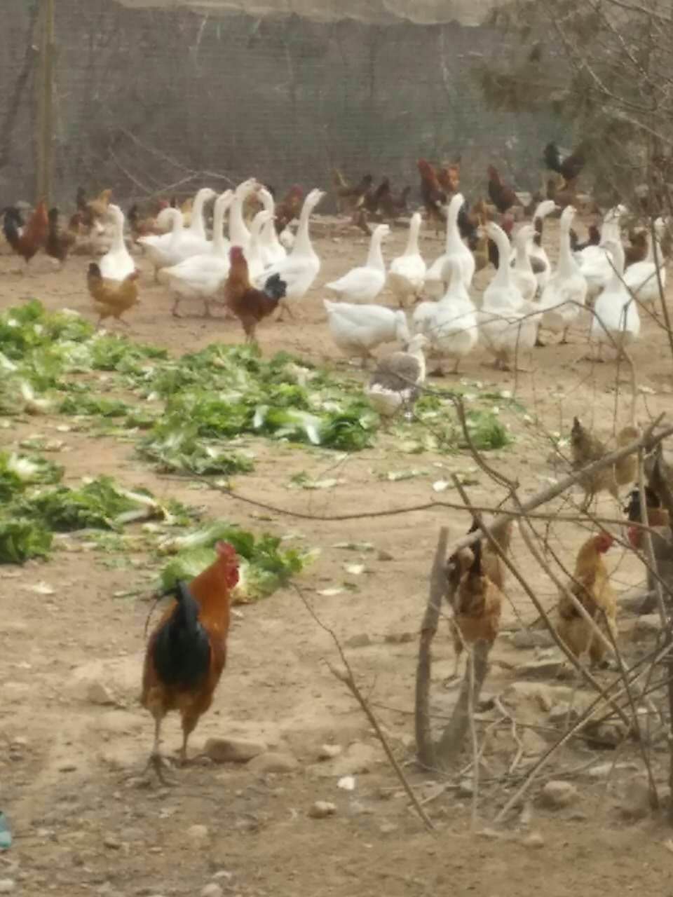 �񼦵����ۼ۸��Ż�