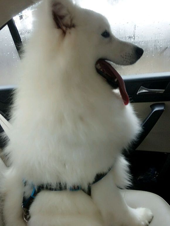 ������ĦҮ����ϱ�����м��������ˣ�������ʿ����