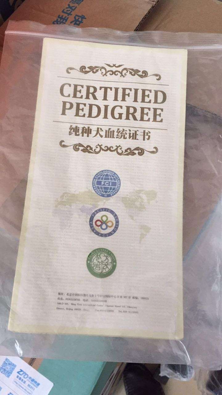 ���۴�������������Ȯ����ֽ��֤�顣�۸��Ż�