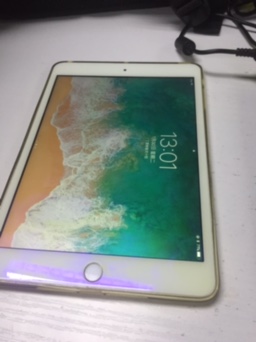 ����iPad mini3  16G