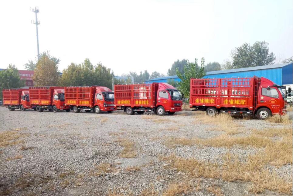 ��ȸ��˾�н��䰲������������ҵ�񣬿ɷ�ȫ��