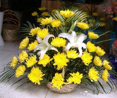 �����ڼ��ݻ���