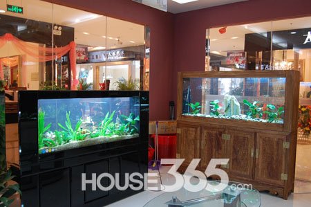 �䰲����ˮ����׿�ҵ���