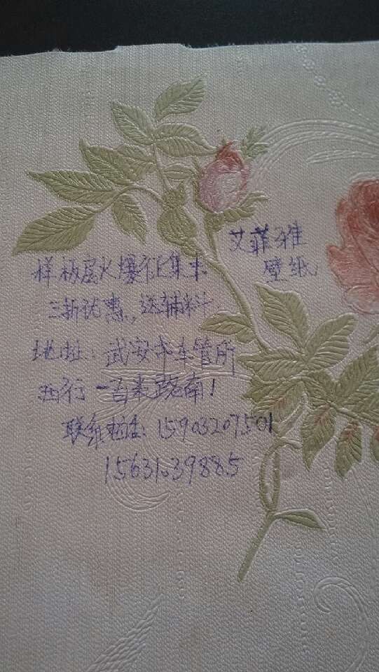 �����ű�ֽ���巿��������