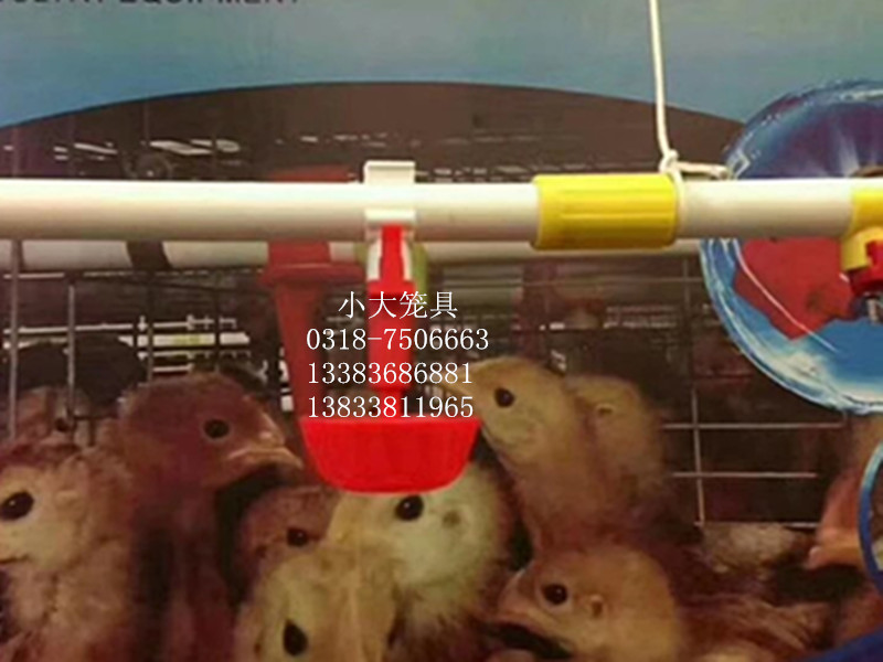 ��Ӧ������������������������������������������ˮ��,ʳ��