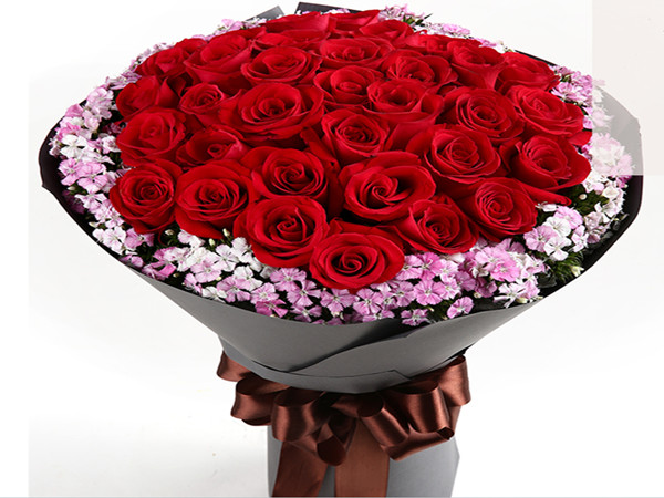 ��Ϧ�ʻ�Ԥ���䰲��������ͻ�����