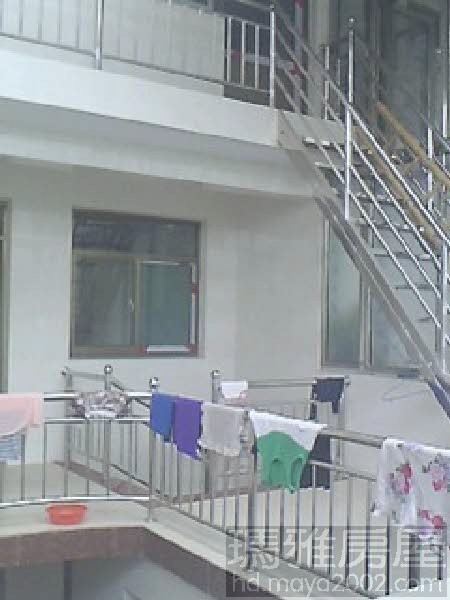 ʳ��԰�����������