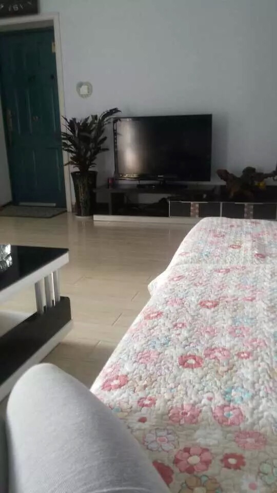 ����С��ѧ����