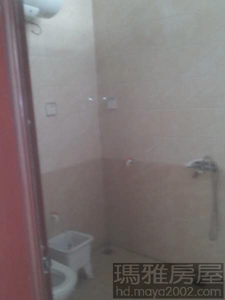 �����´�������