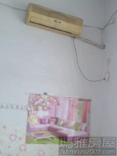 �䰲���ݸ����������