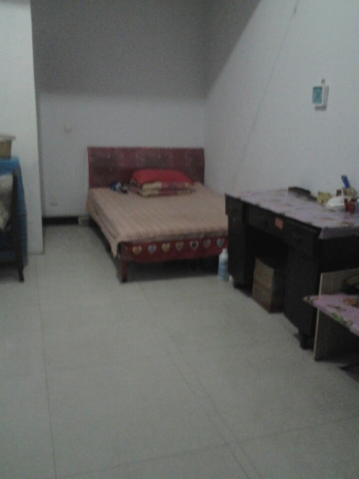 ���������  ����  �ͼ�