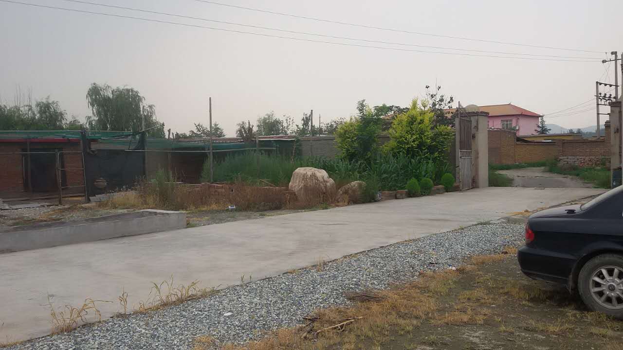 ���⳧������ͨ��������ҵ�г�