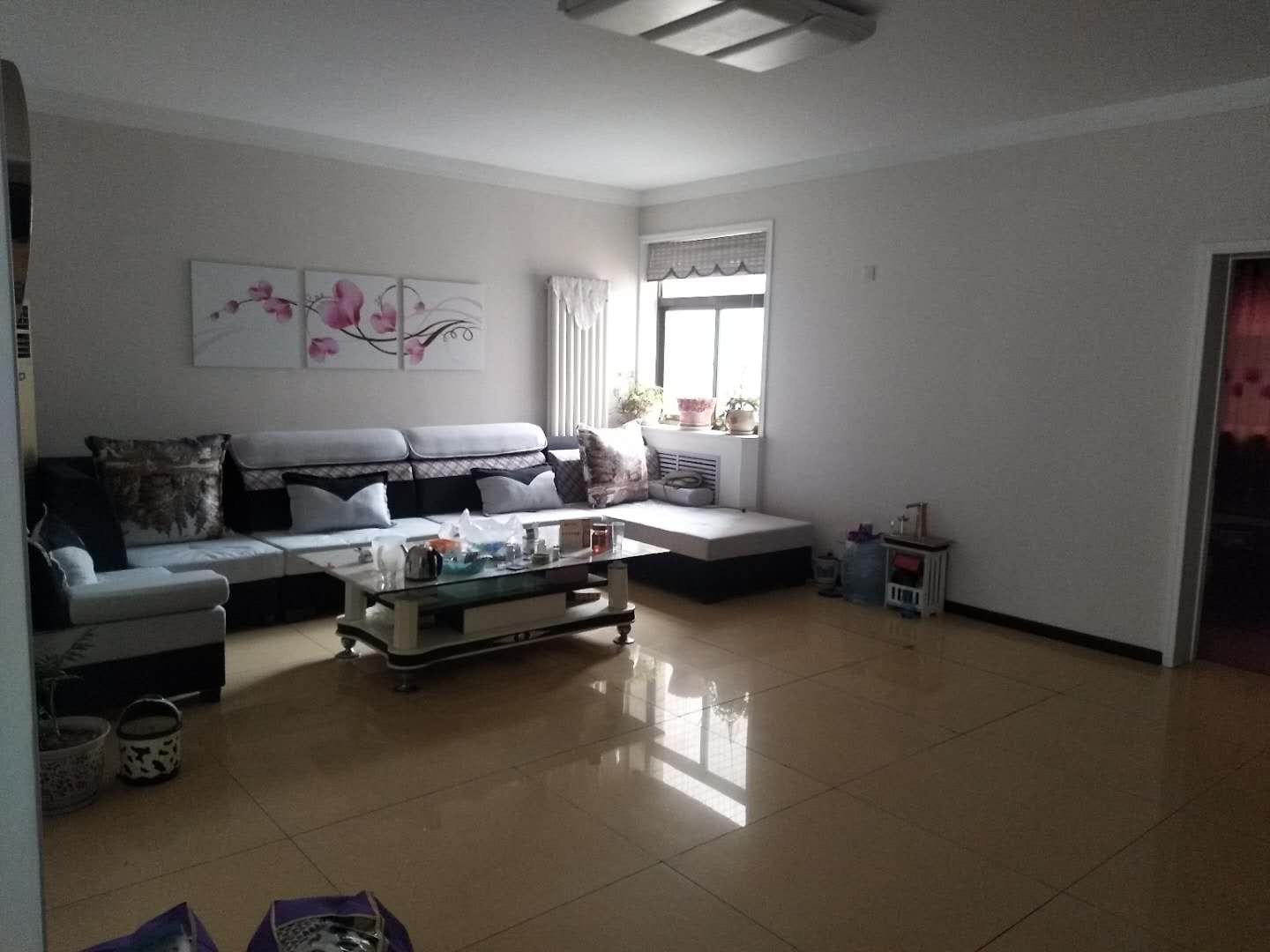 ���ⷨԺ��Ԣ