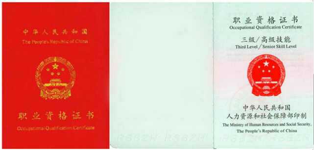 ���ֳ���������ʦ��ѵ