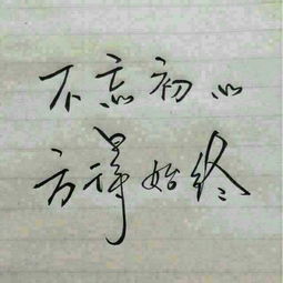 �䰲��ӥ������Ƹȫְ��ʦ