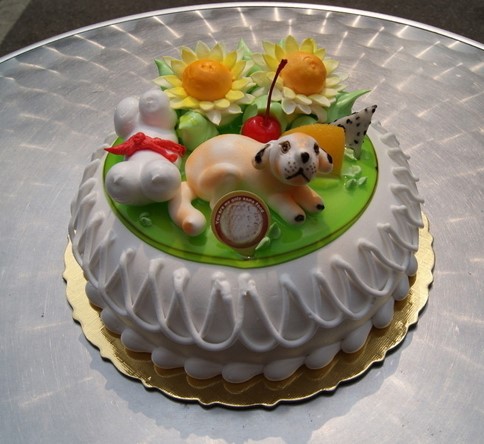 �������ѧͽ