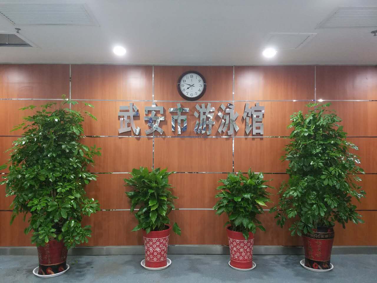 �䰲������������Ӿ��