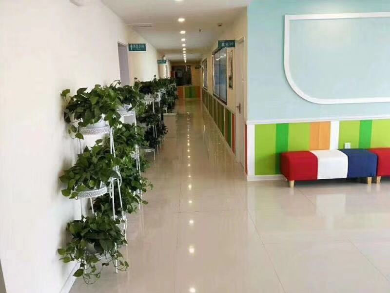 �䰲�߶Ƚ�����ѵ��˾��Ƹǰ̨�γ̹���