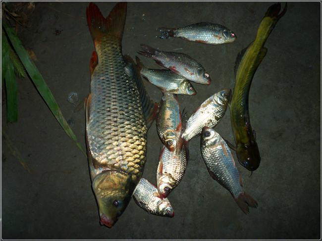 ��ˮ���ⳡ��