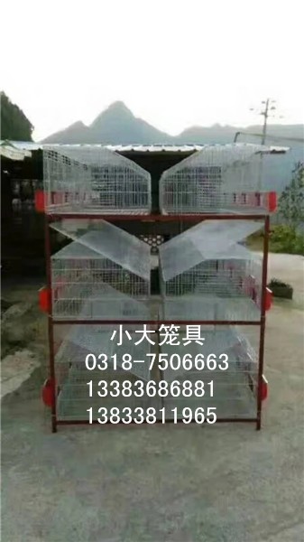 �����������������������������������������������������������