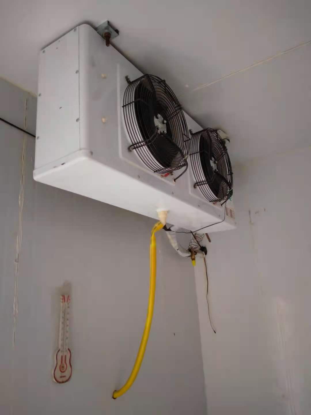 �䰲�������