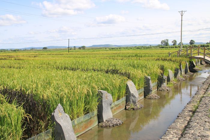 ����ʯ����׹�������