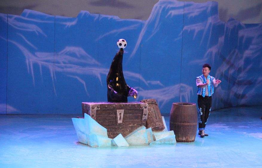 4��13�ţ���ʨ���ݣ��Ϻ���ͥ޹�²�ׯ԰