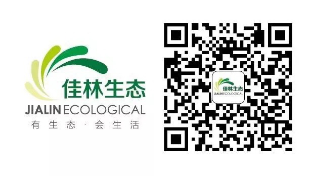 ��Ƹ����