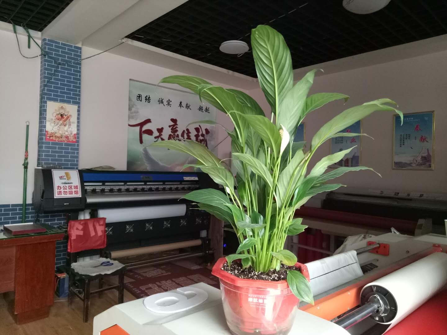 ��Ƹƽ�����