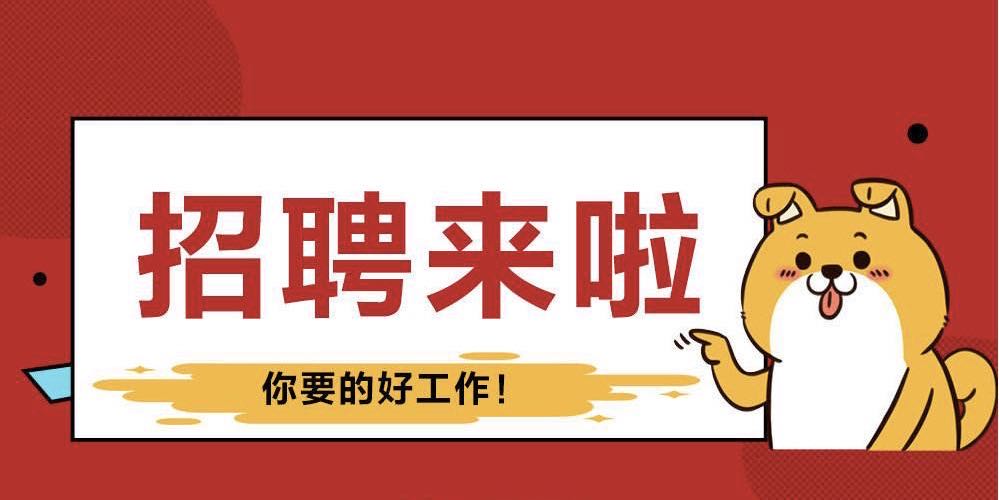 �����ĵز���Ŀ���³�Ƹ���۴�������������������Σ�