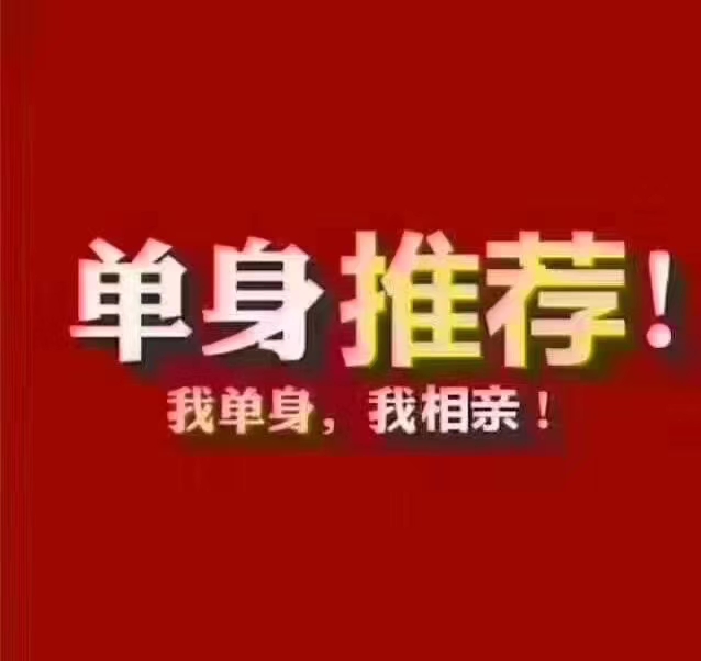 �䰲50��ɥż������